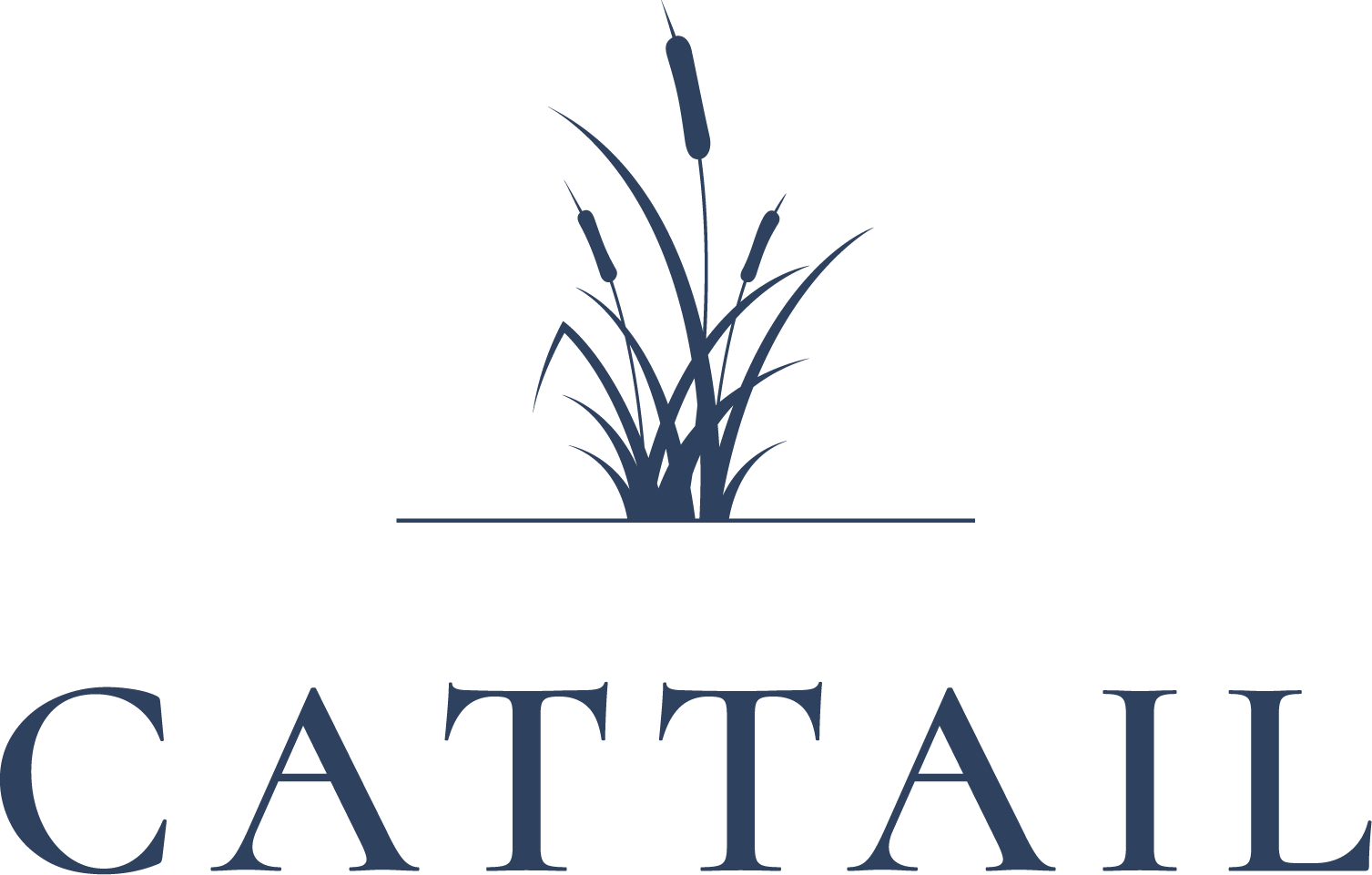 Cattail